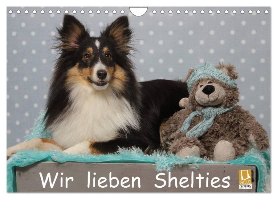 Wir lieben Shelties (Wandkalender 2025 DIN A4 quer), CALVENDO Monatskalender - Marion Reiß - Seibert