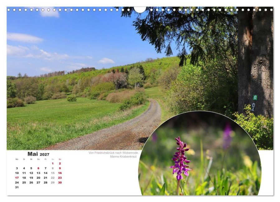 InsideView 10