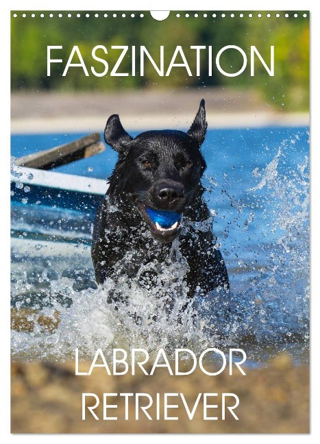 Faszination Labrador Retriever (Wandkalender 2024 DIN A3 hoch), CALVENDO Monatskalender - Sigrid Starick