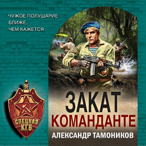Zakat komandante - Aleksandr Tamonikov
