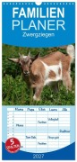 Cover-Bild zum Titel 'Familienplaner 2027 - Zwergziegen mit 5 Spalten (Wandkalender, 21 x 45 cm) CALVENDO' von 'Arno Klatt'