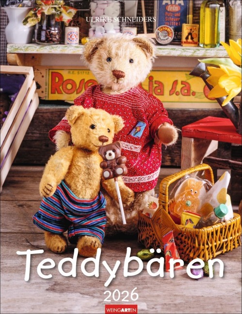 Teddybären Kalender 2026 - 