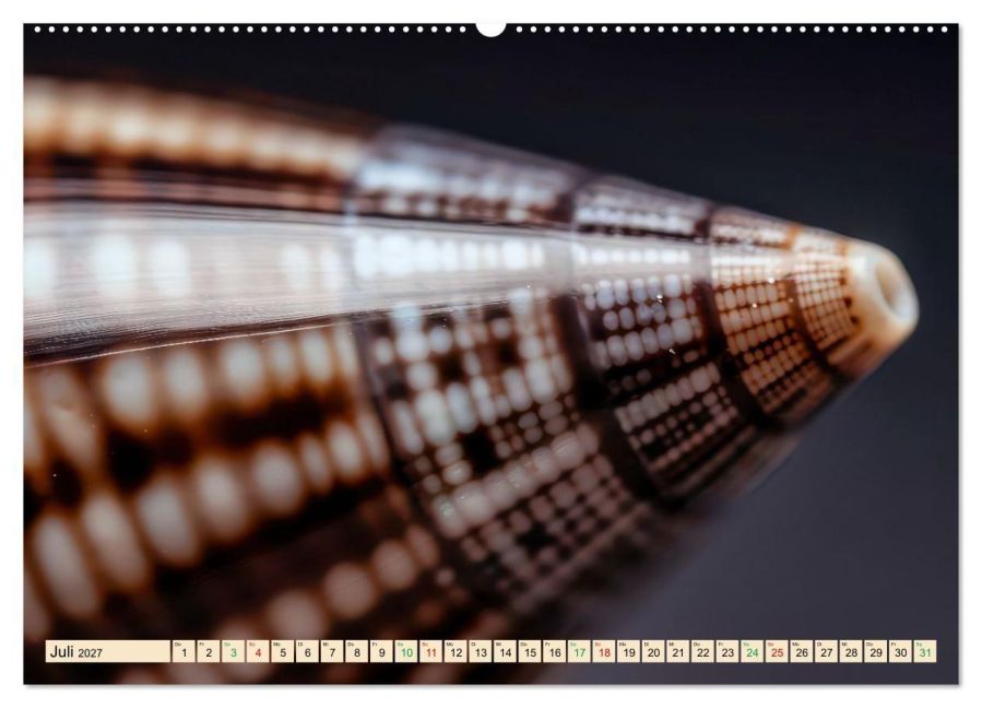 InsideView 12