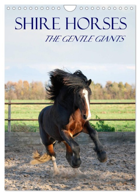 Shire Horses The Gentle Giants (Wall Calendar 2026 DIN A4 portrait), CALVENDO 12 Month Wall Calendar - Liesbeth Wesdijk