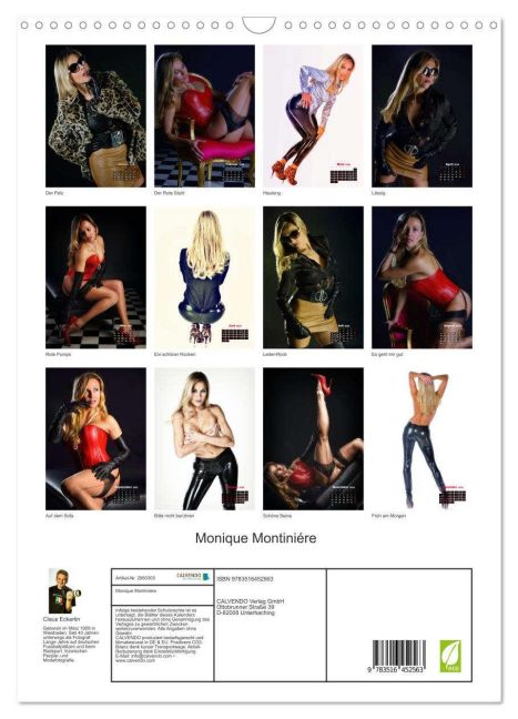 InsideView 5