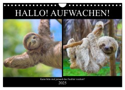 Hallo! Aufwachen! Kann bitte mal jemand das Faultier wecken? (Wandkalender 2025 DIN A4 quer), CALVENDO Monatskalender - Rose Hurley