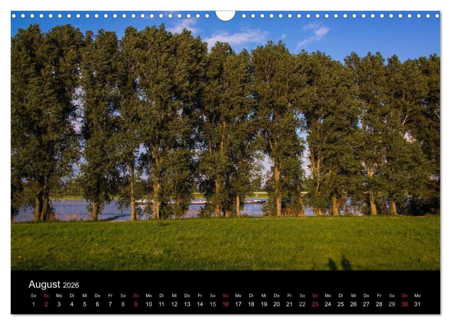 InsideView 13
