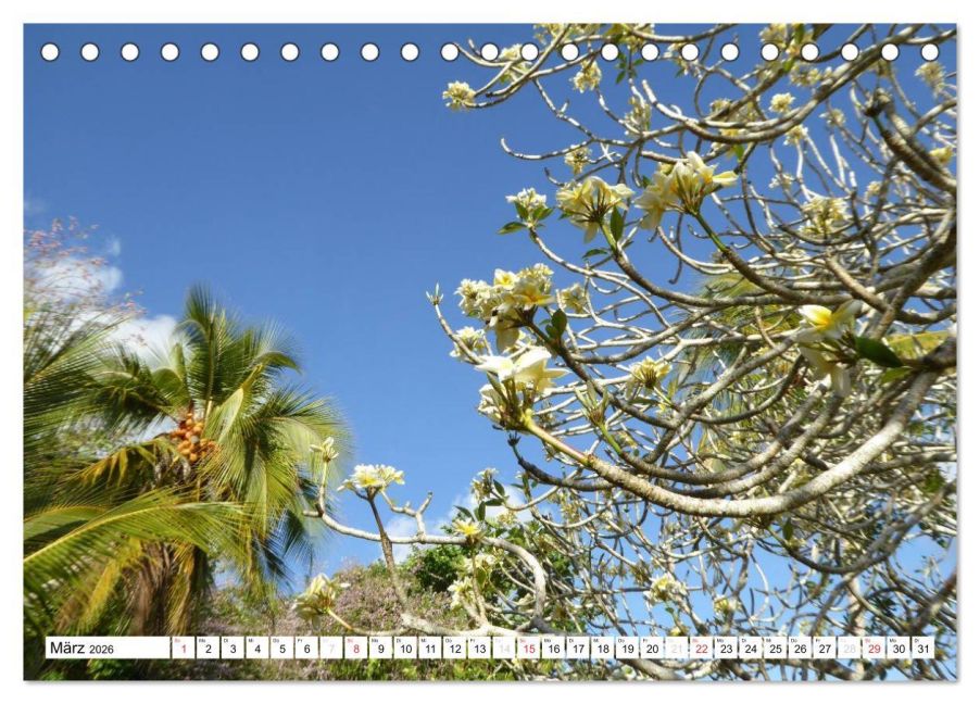 InsideView 8
