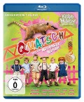 Cover-Bild zum Titel 'Quatsch und die Nasenbärbande' von 'Hans Ullrich Krause, Cherilyn MacNeil, Malcolm Arison'