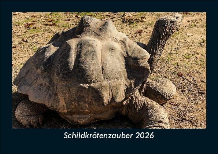 Schildkrötenzauber 2026 Fotokalender DIN A5 - Tobias Becker