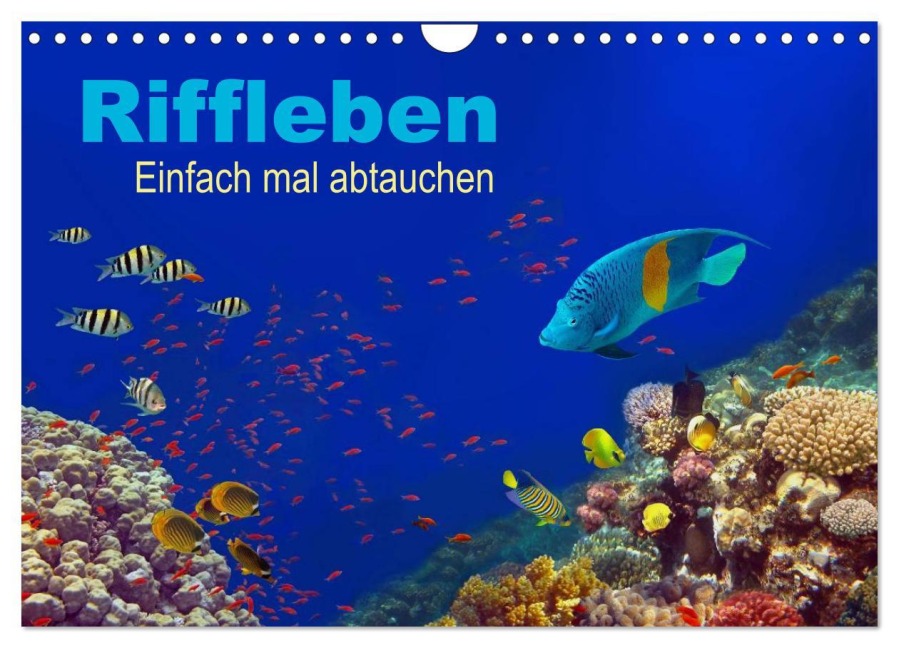 Riffleben - Einfach mal abtauchen (Wandkalender 2026 DIN A4 quer), CALVENDO Monatskalender - Tina Melz