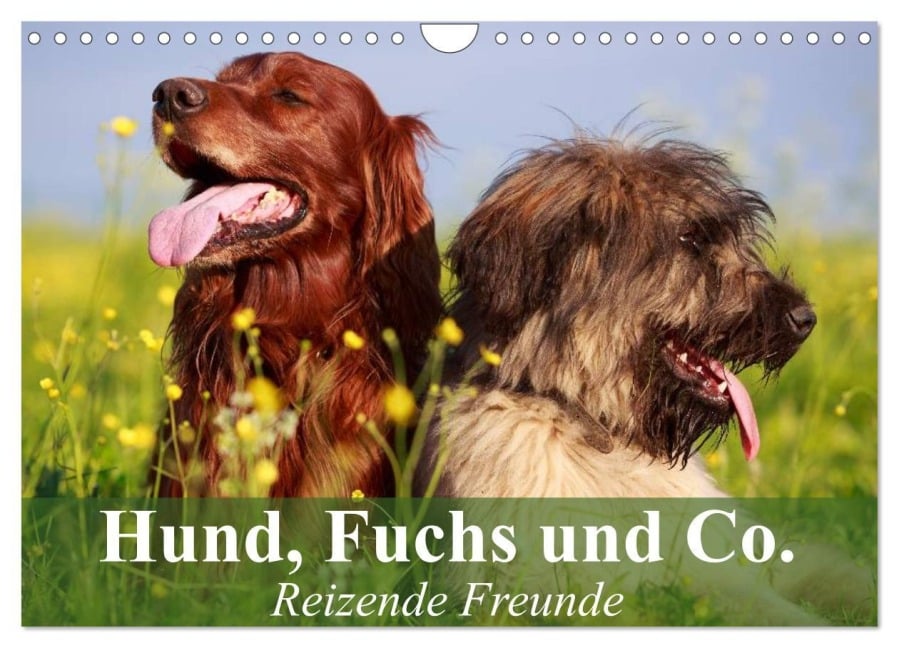 Hund, Fuchs und Co. Reizende Freunde (Wandkalender 2025 DIN A4 quer), CALVENDO Monatskalender - Elisabeth Stanzer