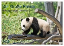 Cover-Bild zum Titel 'Der Große Panda Ein kuscheliger Geselle (Wandkalender 2026 DIN A3 quer), CALVENDO Monatskalender' von 'Prime Selection'