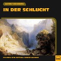 Cover-Bild zum Titel 'In der Schlucht' von 'Anton Tschechow'