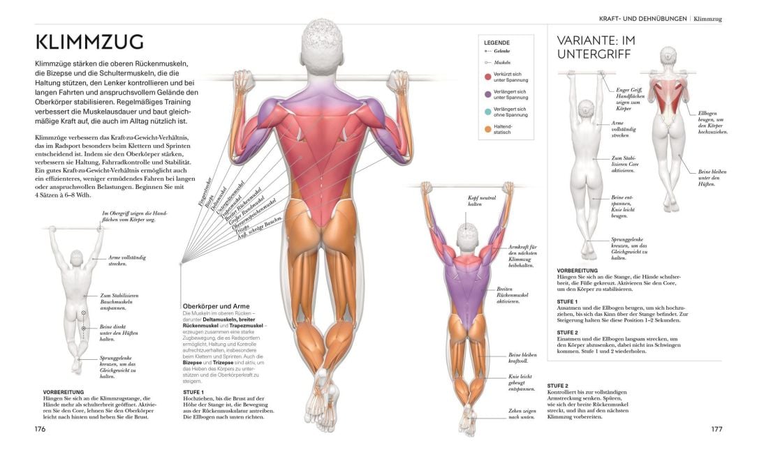 InsideView 6