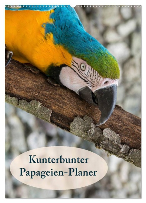 Kunterbunter Papageien-Planer (Wandkalender 2026 DIN A2 hoch), CALVENDO Monatskalender - Angelika Beuck