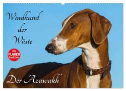 Cover-Bild zum Titel 'Windhund der Wüste - Der Azawakh (Wandkalender 2026 DIN A2 quer), CALVENDO Monatskalender' von 'Sigrid Starick'