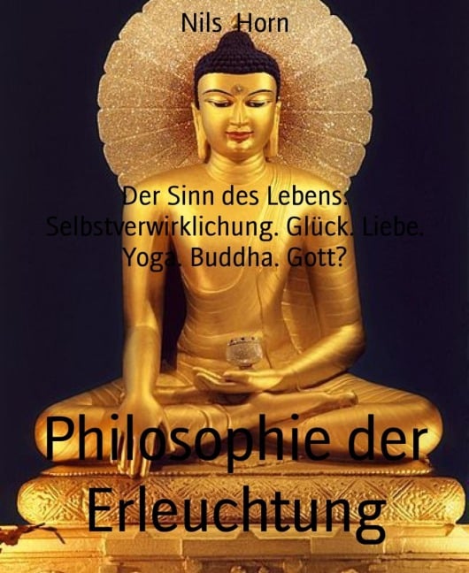 Philosophie der Erleuchtung - Nils Horn