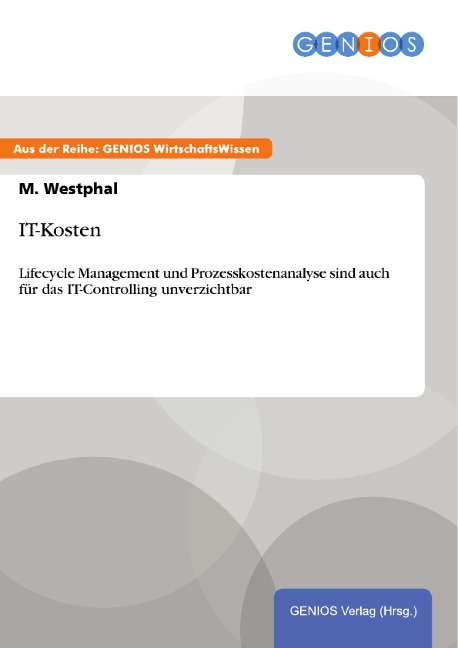 IT-Kosten - M. Westphal