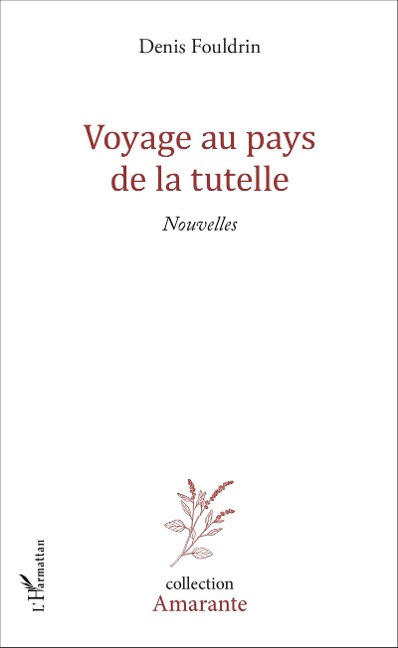 Voyage au pays de la tutelle - Fouldrin Denis Fouldrin