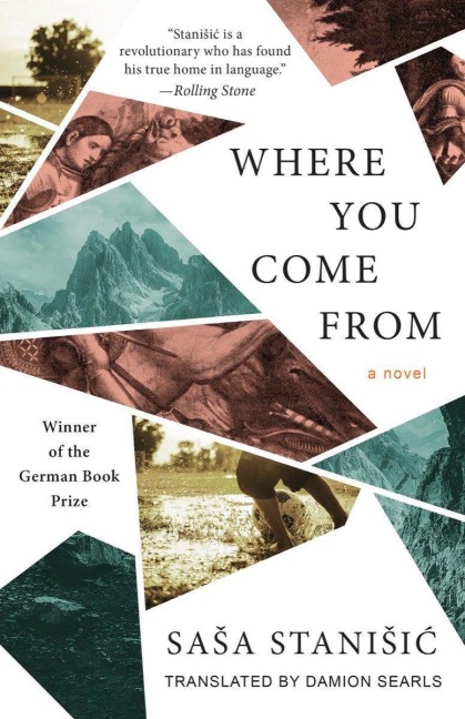 Where You Come from - Sasa Stanisic
