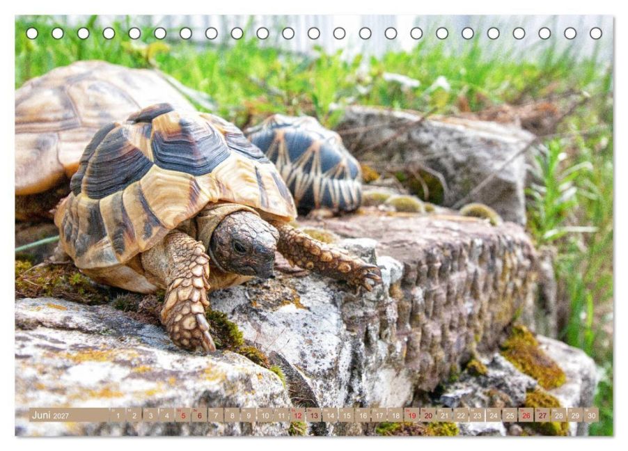 InsideView 11
