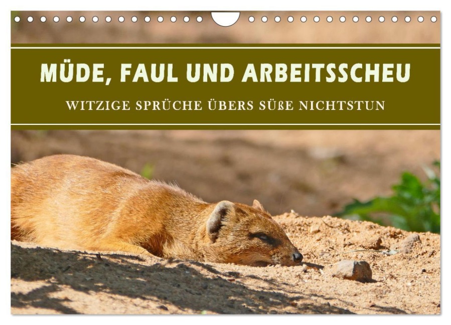 Müde, faul und arbeitsscheu (Wandkalender 2026 DIN A4 quer), CALVENDO Monatskalender - Christine B-B Müller