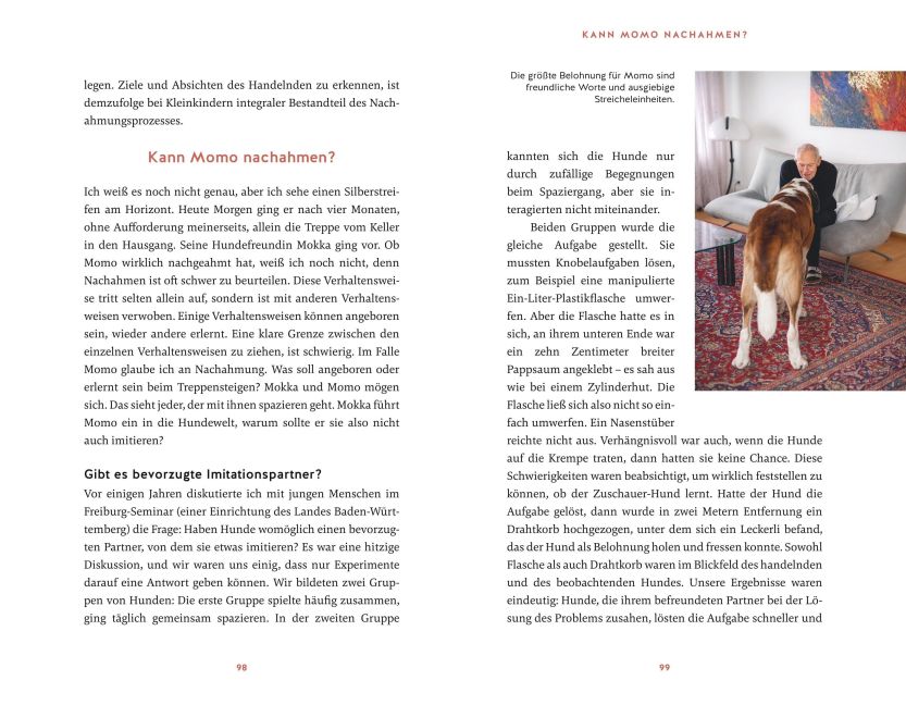 InsideView 7