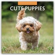 Cute Puppies - Niedliche Hundewelpen 2026 - 16-Monatskalender - Robin Red
