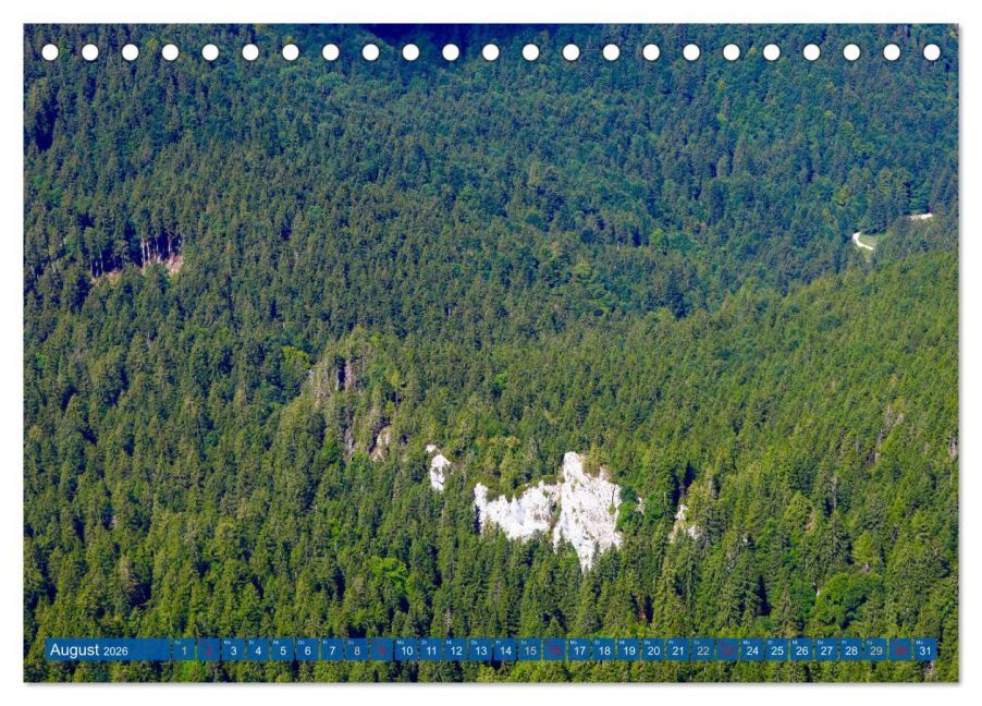 InsideView 13