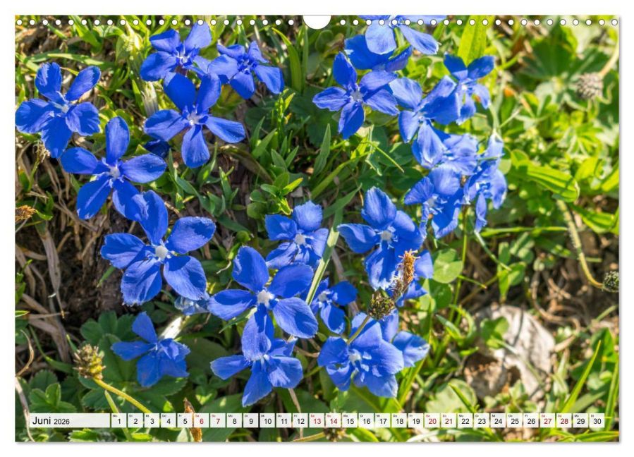 InsideView 11