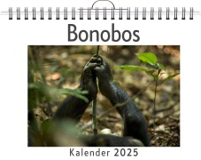 Cover-Bild zum Titel 'Bonobos' von 'Tim Neumann'