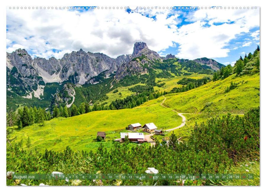 InsideView 12