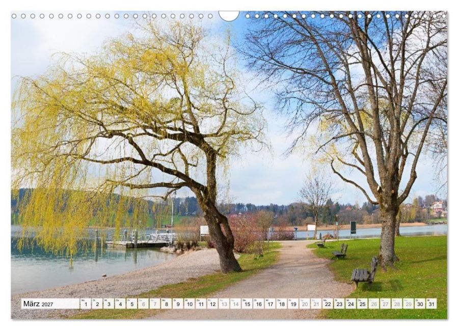 InsideView 8