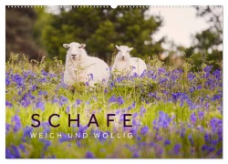 Schafe - Weich und wollig (Wandkalender 2026 DIN A2 quer), CALVENDO Monatskalender - Lain Jackson