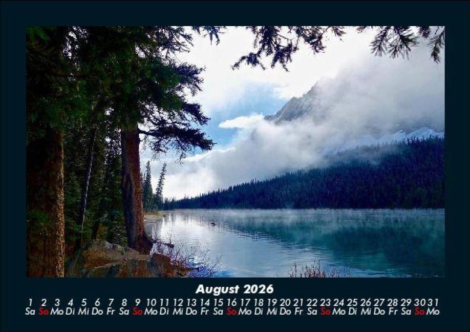 InsideView 12