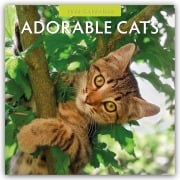 Adorable Cats - Liebenswerte Katzen 2026 - 16-Monatskalender - Robin Red