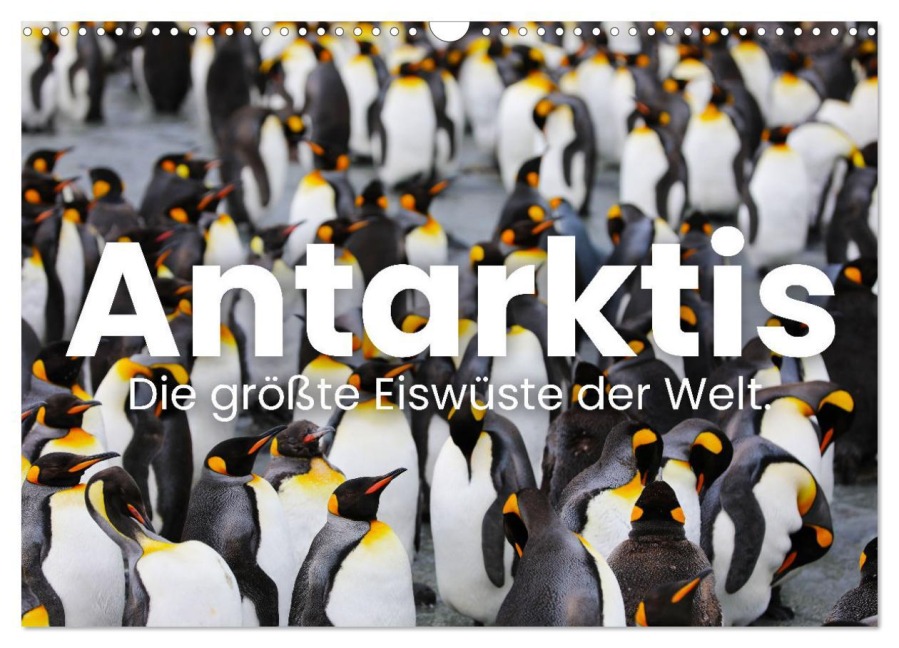Antarktis - Die größte Eiswüste der Welt. (Wandkalender 2026 DIN A3 quer), CALVENDO Monatskalender - Happy Monkey