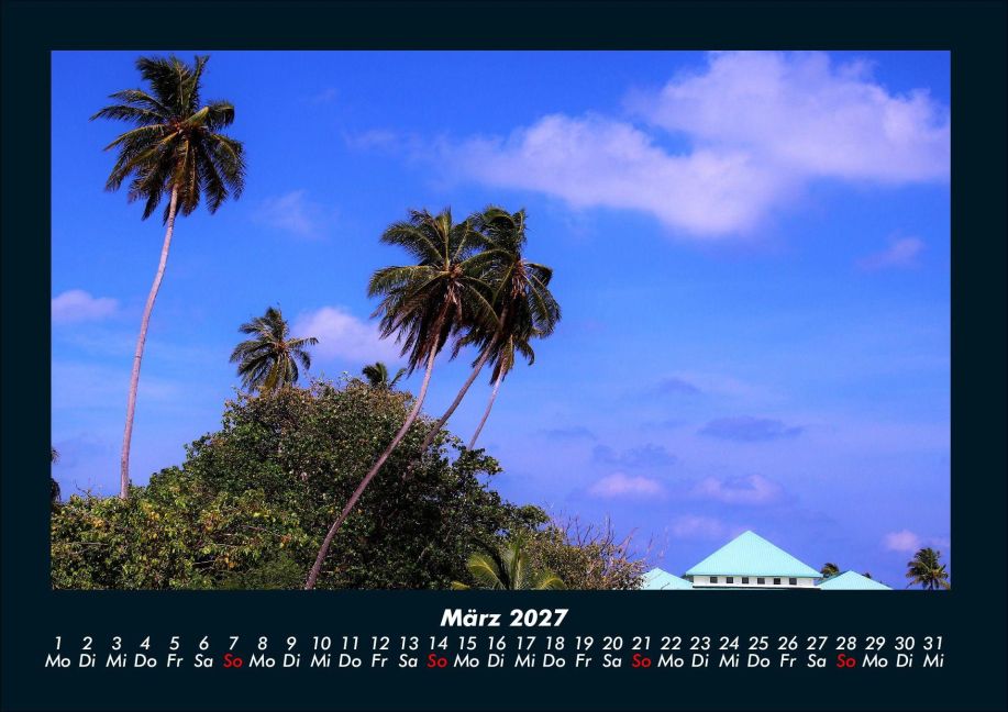 InsideView 7