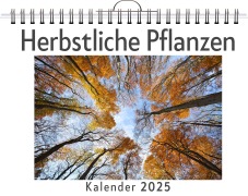 Cover-Bild zum Titel 'Herbstliche Pflanzen' von 'Ben Maier'