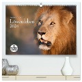 Emotionale Momente: Löwenleben (hochwertiger Premium Wandkalender 2024 DIN A2 quer), Kunstdruck in Hochglanz - Ingo Gerlach GDT