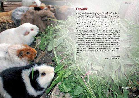 InsideView 1