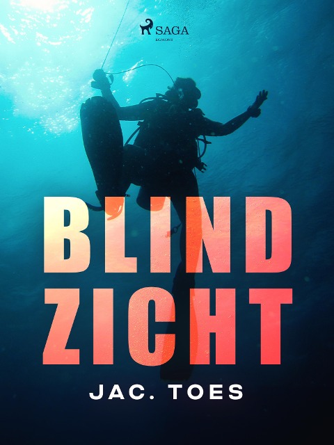 Blind zicht - Jac. Toes