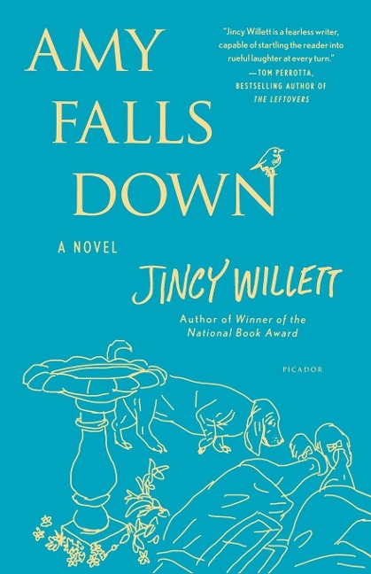 AMY FALLS DOWN - Jincy Willett