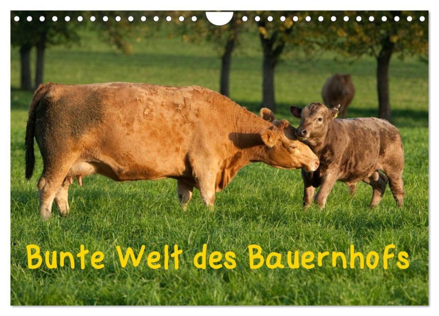 Bunte Welt des Bauernhofs (Wandkalender 2026 DIN A4 quer), CALVENDO Monatskalender - Angela Münzel-Hashish - Www. Tierphotografie. Com