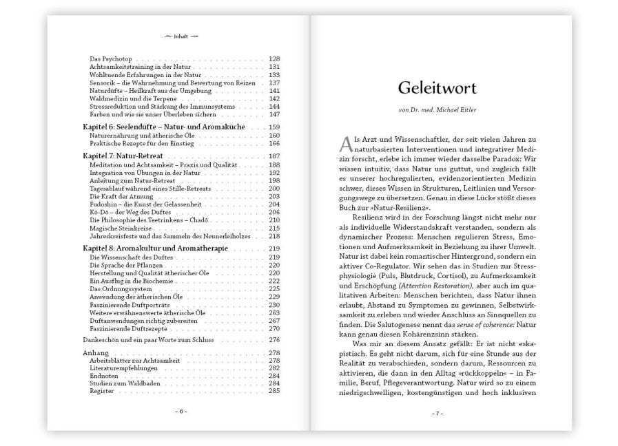 InsideView 2