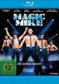 Cover-Bild zum Titel 'Magic Mike' von 'Reid Carolin, Frankie Pine'