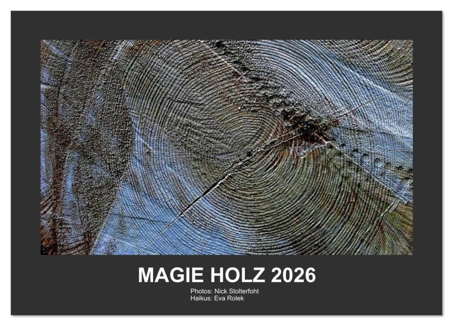 MAGIE HOLZ 2026 (Wandkalender 2026 DIN A4 quer), CALVENDO Monatskalender - Nikolaus Stolterfoht