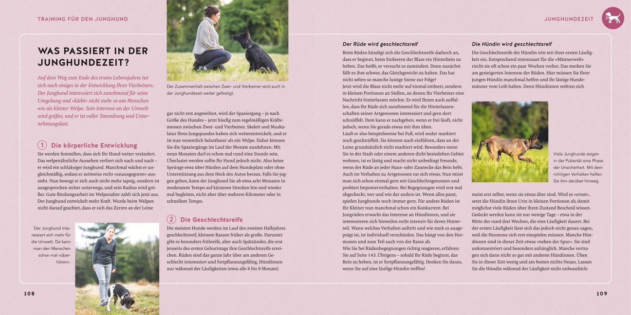 InsideView 7