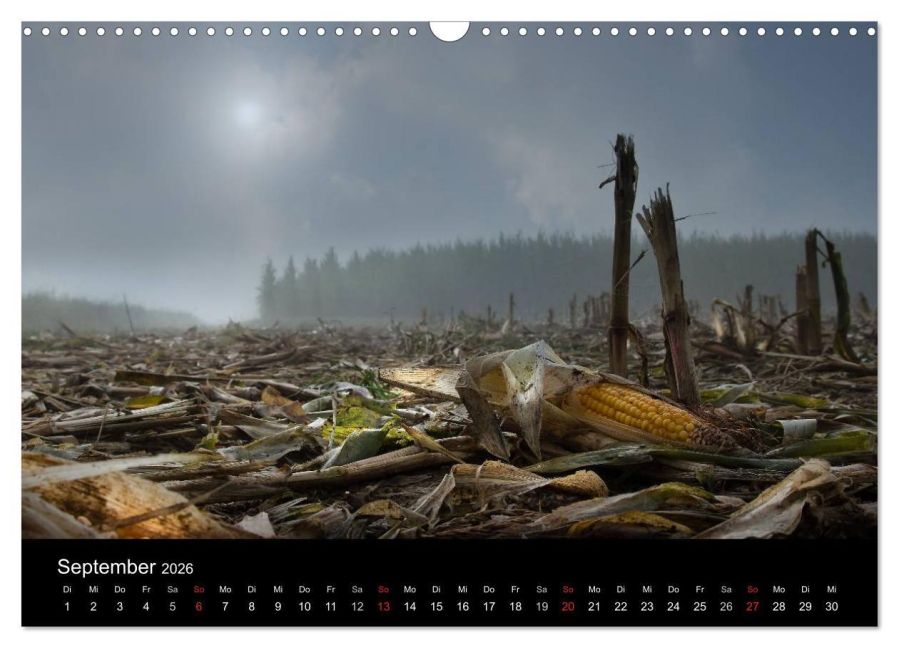 InsideView 14